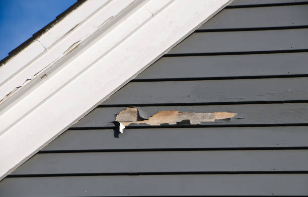 Best Wood Siding Installation  in West Point, VA