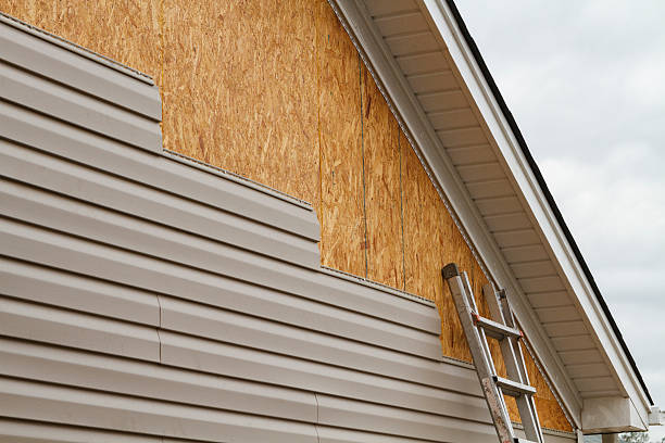 Best Custom Trim and Detailing for Siding  in West Point, VA